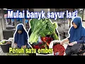 Download Lagu MULUNG SAYUR DI PASAR⁉️ BANYAK BAHAN MAKANAN YANG TERTINGGAL