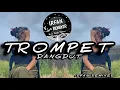 Download Lagu DJ TROMPET IRFAN REMIXER DANGDUT REMIX TERBARU 2k25