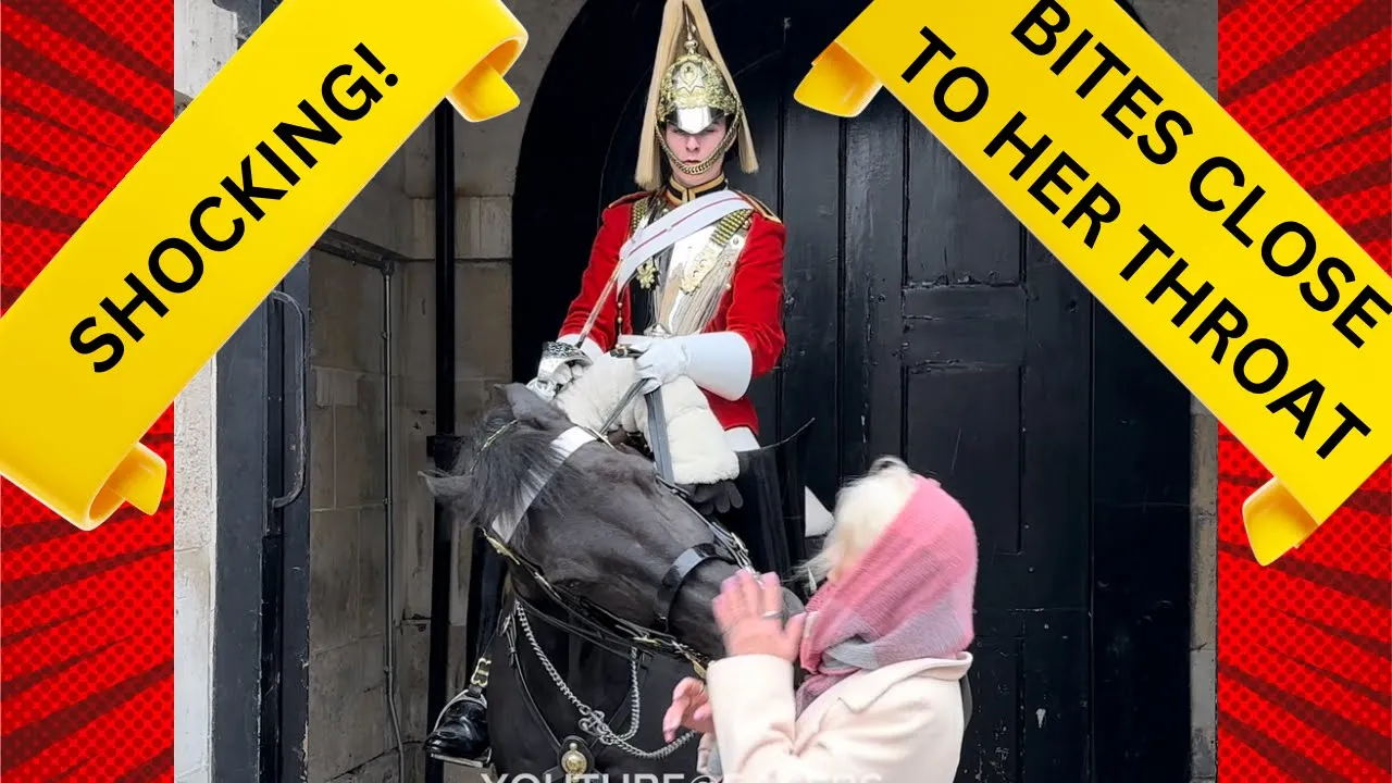 SHOCKING! The King’s Guard Horse Bites Close To Her Throat!