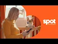 Fur Baby Extended Spot Pet Insurance