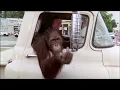 Every Which Way but Loose (2009 Remaster)