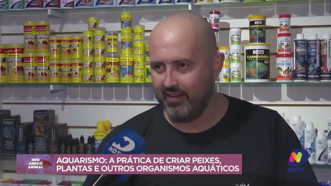 Meu Amigo Animal: aquarismo, a prática de criar peixes, plantas e outros organismos aquáticos