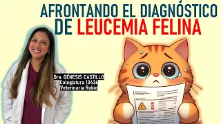 AFRONTANDO el DIAGNÓSTICO de LEUCEMIA FELINA | La Vida con Gatos 35 #lavidacongatos
