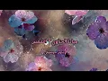 ميادة الحناوي - الشمس ( بدون موسيقى )
