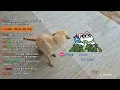Download Lagu 비처럼 라오스처럼