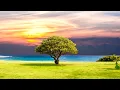 Bach "Air on the G String" 2nd Mov. Suite No. 3 in D major, BWV 1068