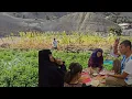 Download Lagu Family happiness together: from harvesting the farm to Burhan's painting!