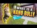 What Is a Nano Bully The BPKC Registry