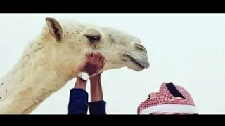 الله يجيب السحايب والخير يكثر خبروني كيف اجواكم أنتم  الله يجيب السحايب والخير يكثر خبروني كيف اجواكم أنتم
