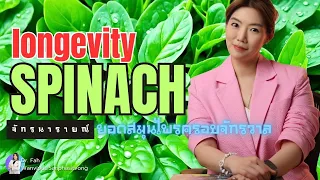 มีประโยชน์อย่างไรบ้างในการบริโภคแป๊ะตำปึง หรือ longevity spinach