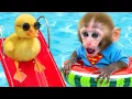 Download Lagu Mono Bon Bon : Una Aventura Divertida en la Tina Con los Patios - Animal HT ESP