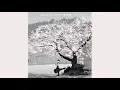 Download Lagu Senakaawase ( 背中合わせ ) - Nightcore | Unofficial Video