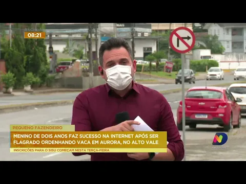 Menino de 2 anos faz sucesso na internet após ser flagrado ordenhando vaca em Aurora