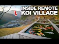Dit afgelegen Japanse dorp kweekt de duurste koikarpers ter wereld