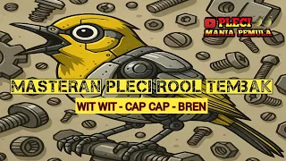 masteran pleci wit wit bren cap cap masteranpleci
