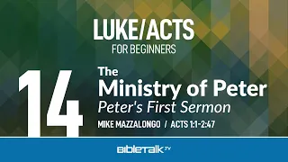 The Ministry of Peter