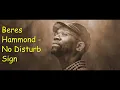 Beres Hammond  No Disturb Sign