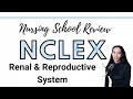 NCLEX Review Renal and Reproductive System
