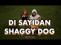 Download Lagu DI SAYIDAN - SHAGGY DOG cover PANDAZ FT ZULFAH NAILY