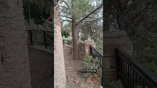 اللهم اجعل بيتي بيت رحمة  اللهم اجعل بيتي بيت رحمة
