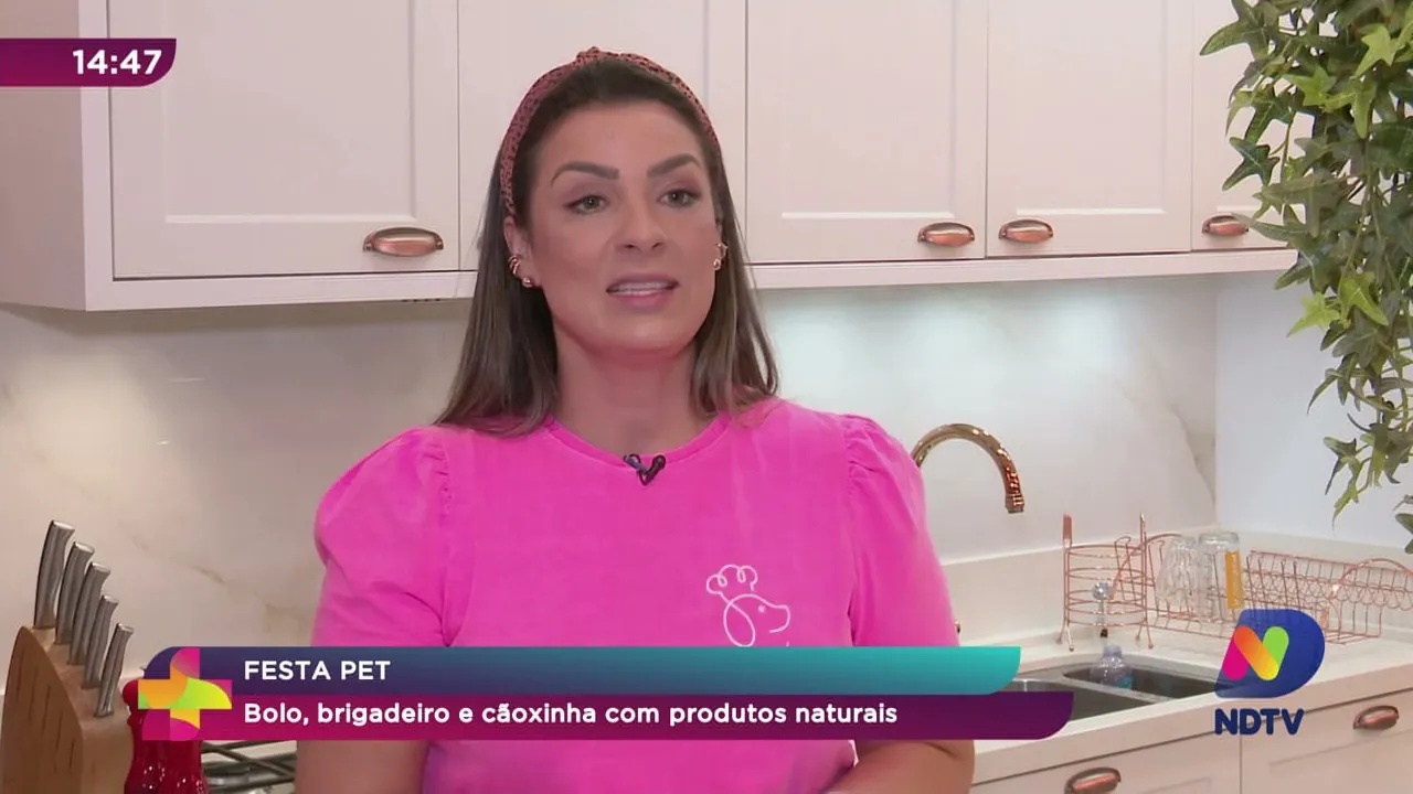 Festa Pet: bolo, brigadeiro e cãoxinha com produtos naturais