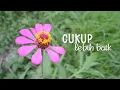 Lagu Cukup Lebih baik (Lyric)