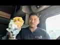 Burger den tacos review and day in the life