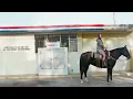 Loneliest Girl - Kacey Musgraves