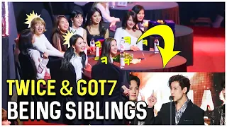 Download Twice And Got7 Being Siblings MP3