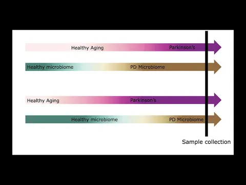 PD Mice: Study background and information