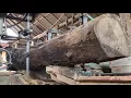 Download Lagu The process of sawing dry teak wood is interesting to watch