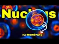 Cell Nucleus Structure And Functions in 3 Minutes