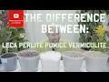 Download Lagu What’s the difference between LECA, perlite, pumice and vermiculite?