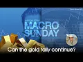 Macro Sunday - Can the gold rally continue Guest Bob Moriarty 321gold com