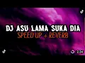 Download Lagu DJ ASU LAMA SUKA DIA SPEED UP REVERB 🎧