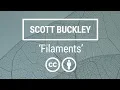 Download Lagu 'Filaments' [Classical Crossover CC-BY] - Scott Buckley