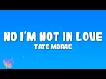 Lagu Tate McRae - No I'm not in love