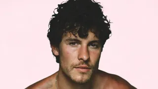 shawn mendes this is 