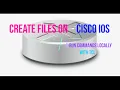 Create Files and Run Scripts Locally on Cisco IOS
