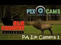 PA Elk Country Visitor Center - Cam 1