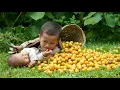 Download Lagu Harvest wild fruits to sell at the market - Buy new clothes and hats for the baby