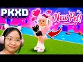 PK XD - Meet My NEW Pet Part 76