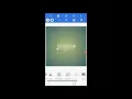 Download Lagu Tutorial/Cara membuat Quotes di Pixellab dengan mudah dan cepat.