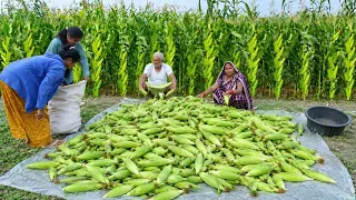 खेत के ताजा मक्के से परमल बनाने का असली तरीका / Corn Paramal recipe