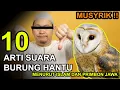 Download Lagu 10 Arti Suara Burung Hantu Di Malam Hari Menurut Islam dan Primbon Jawa