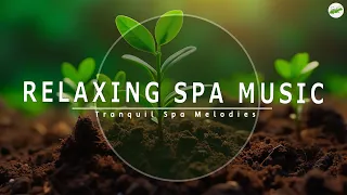 Soothing Piano Sounds – Calm Your Mind, Relieve Stress & Sleep Peacefully 🌻