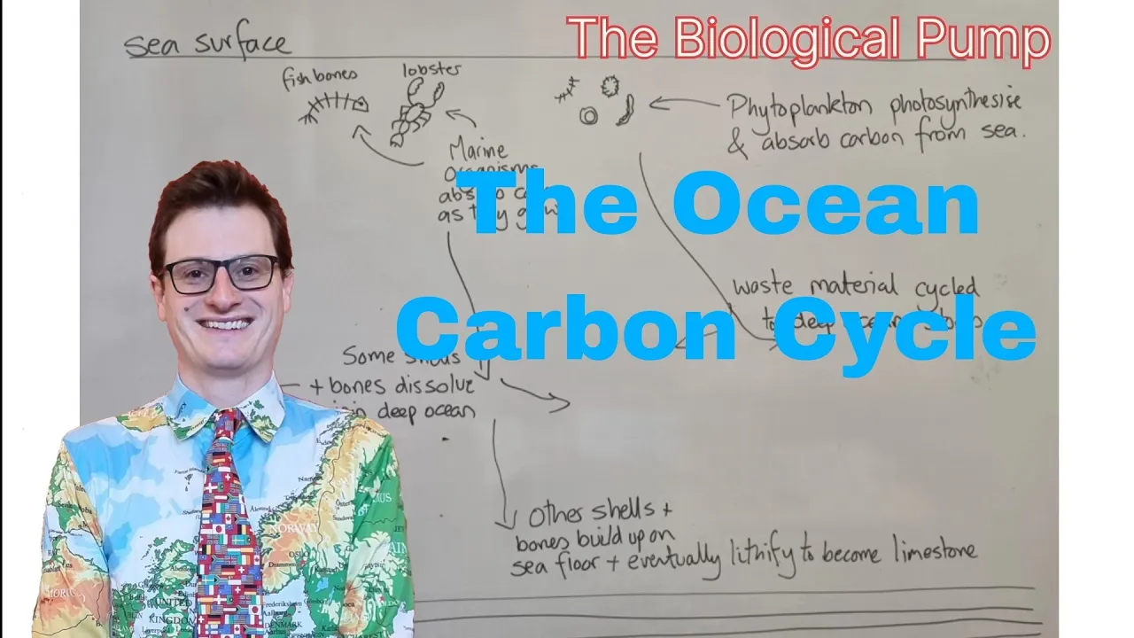 A Level Geography Revision. The Ocean Carbon Cycle. The Physical, Biological and Carbonate Pump.