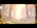 Madeleine Peyroux - La Vie en rose (Cinematic Visualizer)
