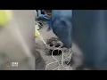 Download Lagu Rayan's story continues, the child trapped in well | OMNI News Arabic