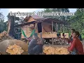 Download Lagu Berkumpul di pondok hutan menikmati suasana hutan 